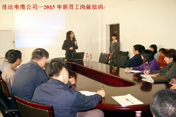 湖南蜜桃传媒网站入口電線電纜有限公司,蜜桃传媒网站入口電線電纜,蜜桃产品一区一区三区在线係列,控製電纜,電線電纜企業哪裏好