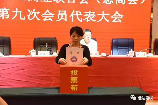 蜜桃传媒网站入口電纜有限公司,蜜桃传媒网站入口電纜,湖南蜜桃传媒网站入口，