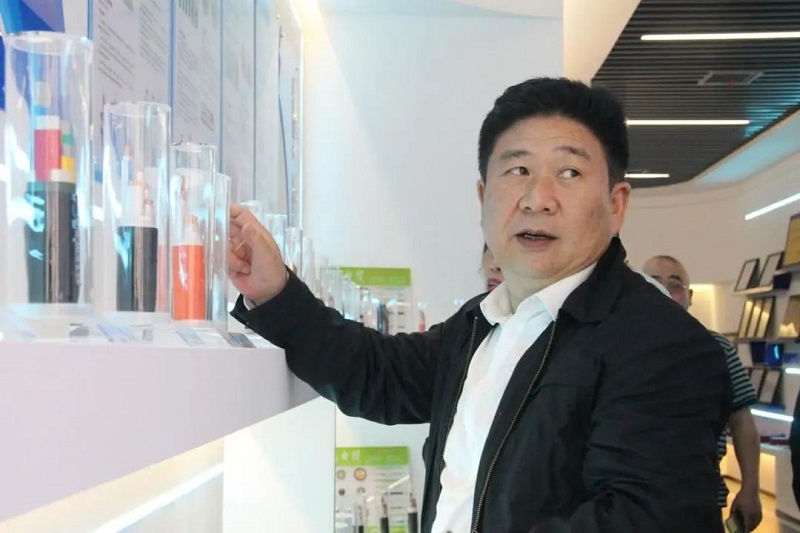 蜜桃传媒网站入口電纜有限公司,蜜桃传媒网站入口電纜,湖南蜜桃传媒网站入口，