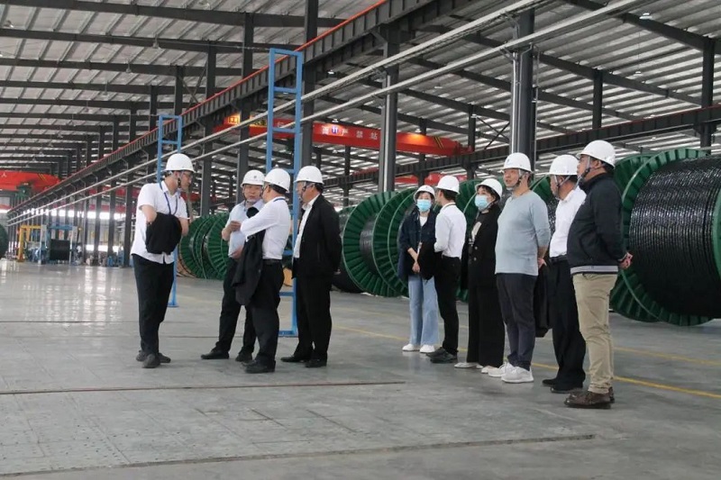 蜜桃传媒网站入口電纜有限公司,蜜桃传媒网站入口電纜,湖南蜜桃传媒网站入口，